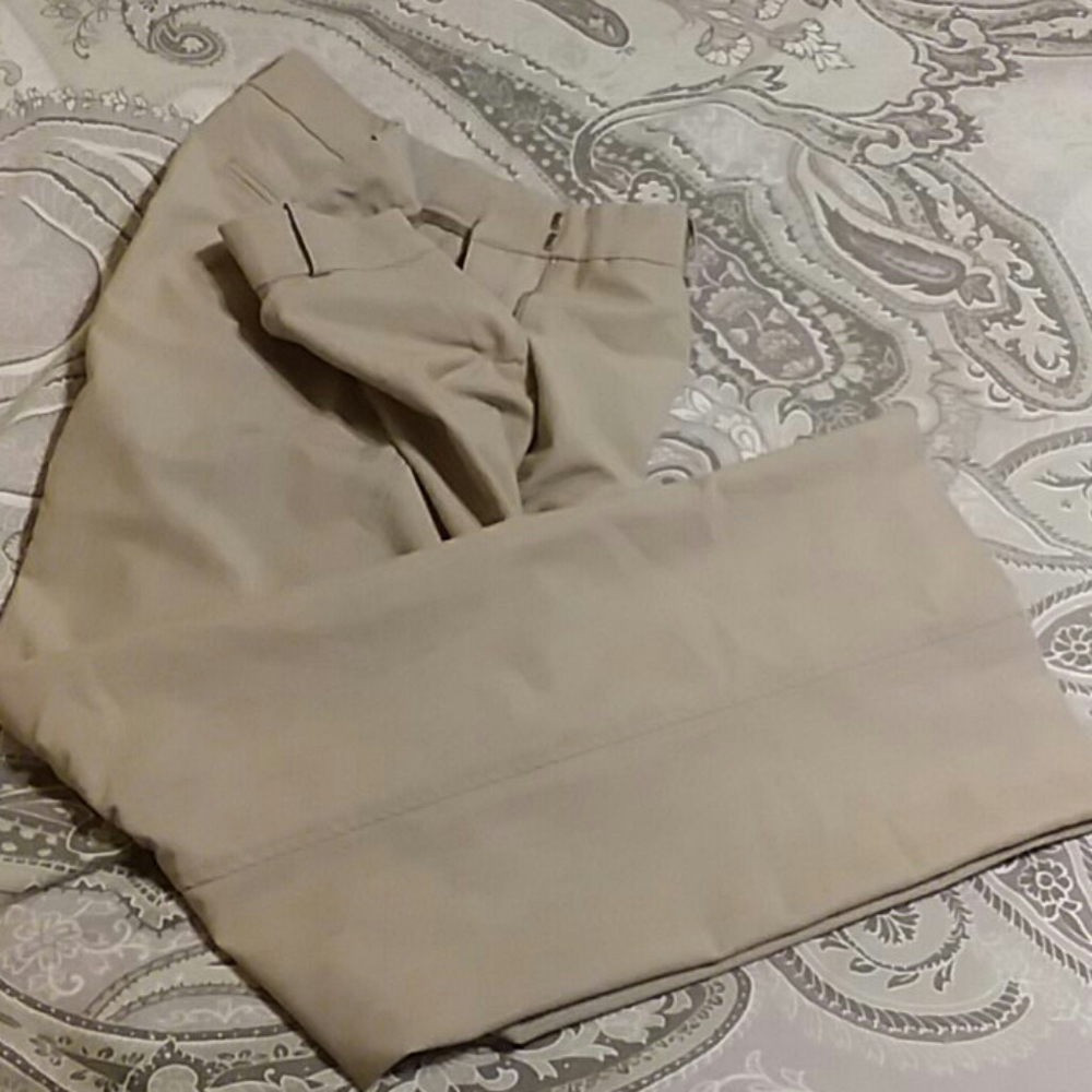 Dress pants